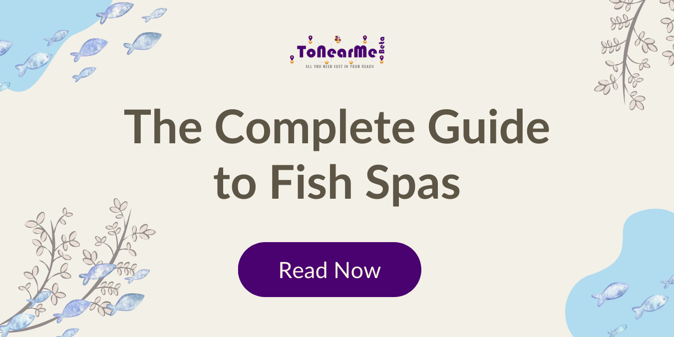 The Complete Guide to Fish Spas Near Me: Transforming the Beauty Industry